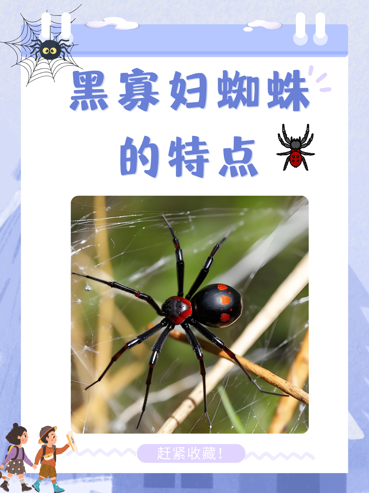 lol蜘蛛叫什么名字啊英雄联盟中的蜘蛛英雄，她的名字与传奇故事-第1张图片