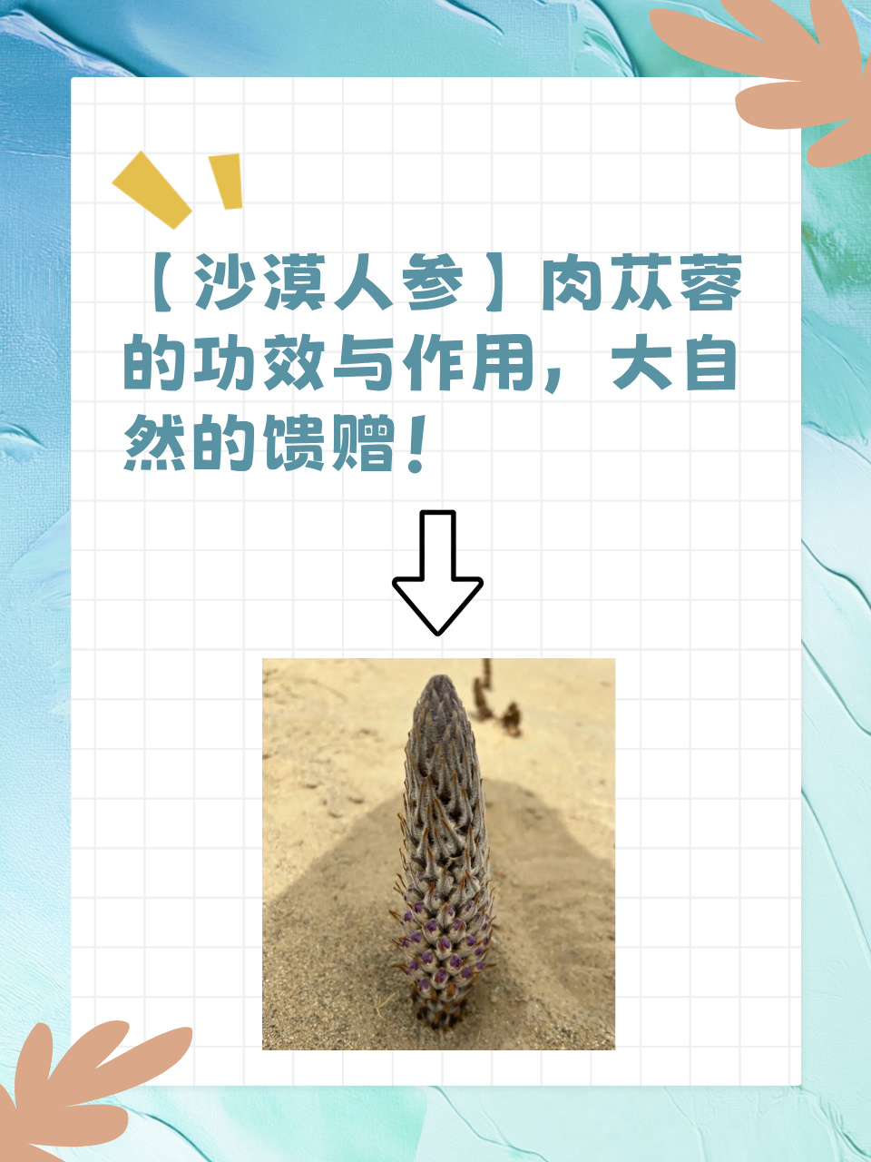国产的鲁啊鲁，探索与成长-第2张图片