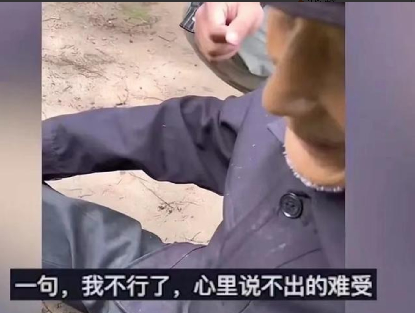 放里面就行,不动放里面不动，谁更难受？