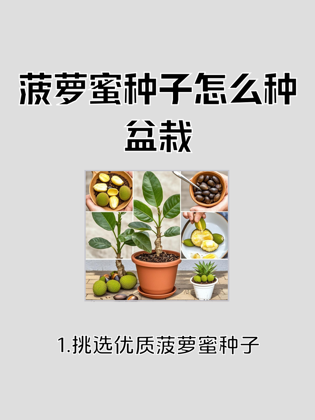 菠萝蜜视频网站app入口菠萝蜜视频网站app入口探索与使用指南-第3张图片