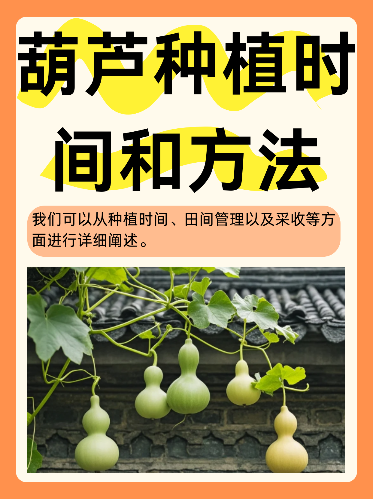 探索HLW32life中的葫芦文化