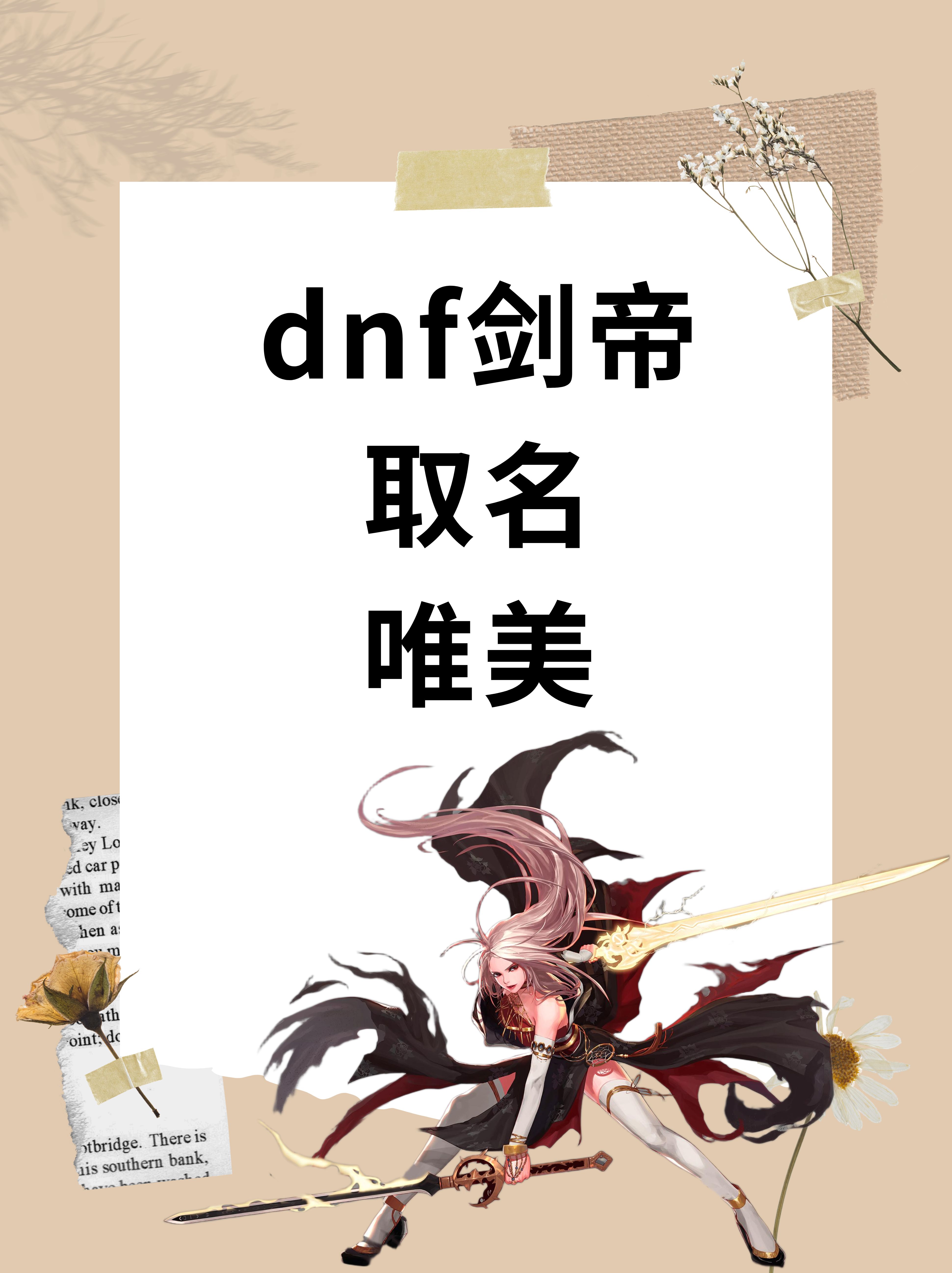 dnf宠物名字DNF宠物名字的魅力与文化内涵