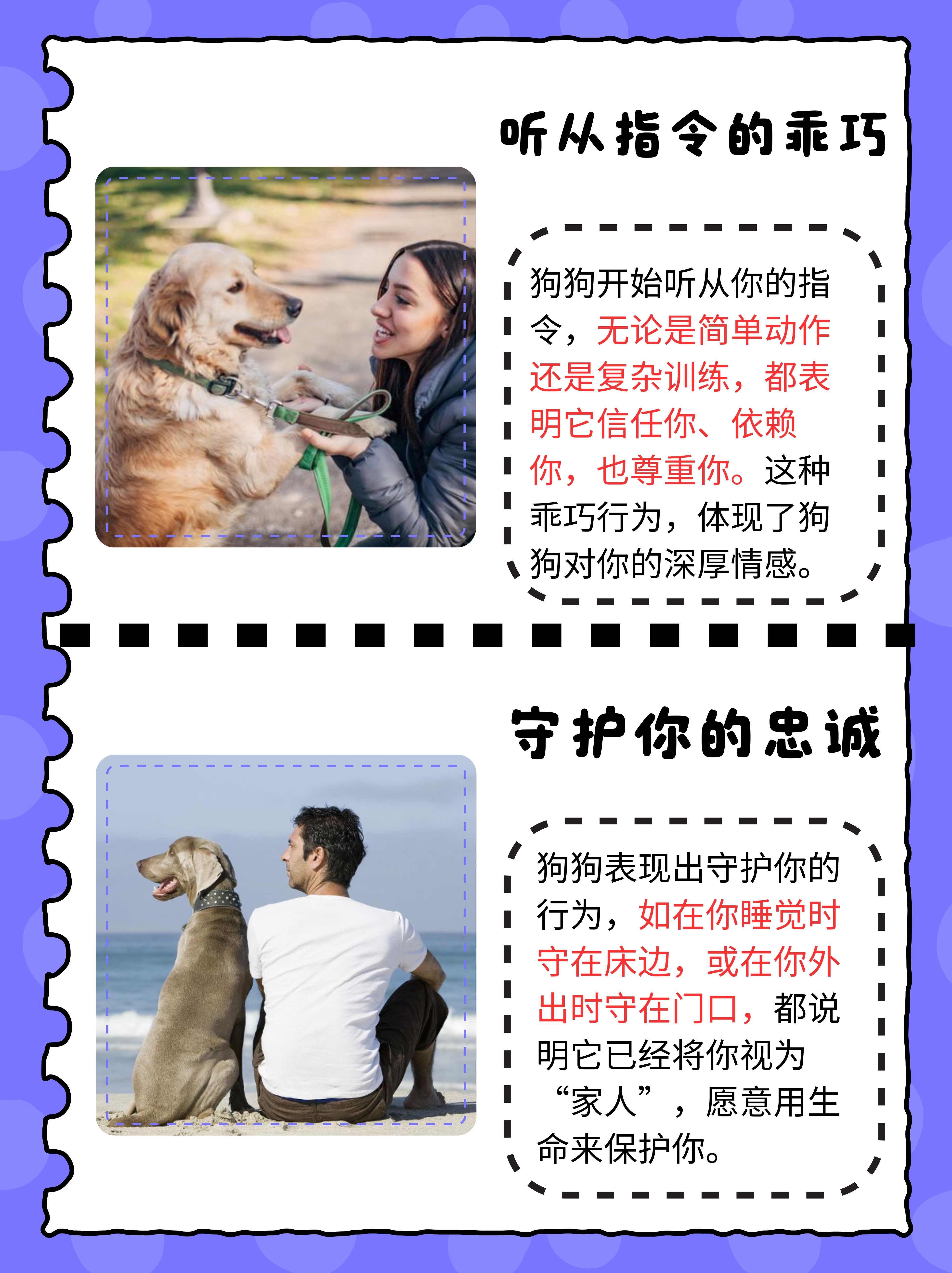 探索狗狗与人类之间的奇妙比例——狗狗的某些东西竟比老公的还要大？