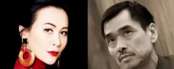 刘嘉玲视频电影是不是真的刘嘉玲视频，探索其背后的故事与影响