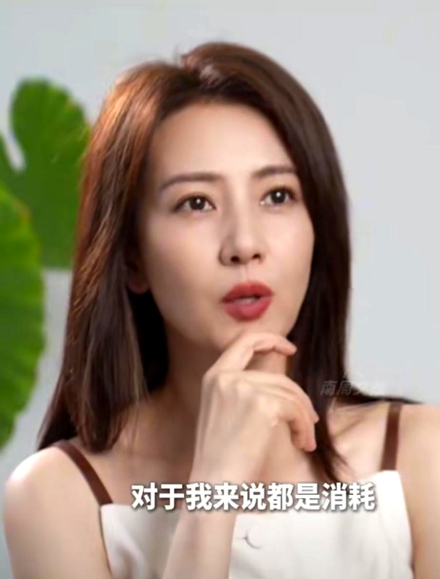 为什么说高圆圆是炮架高圆圆为何被误称为炮架，深度解析与澄清