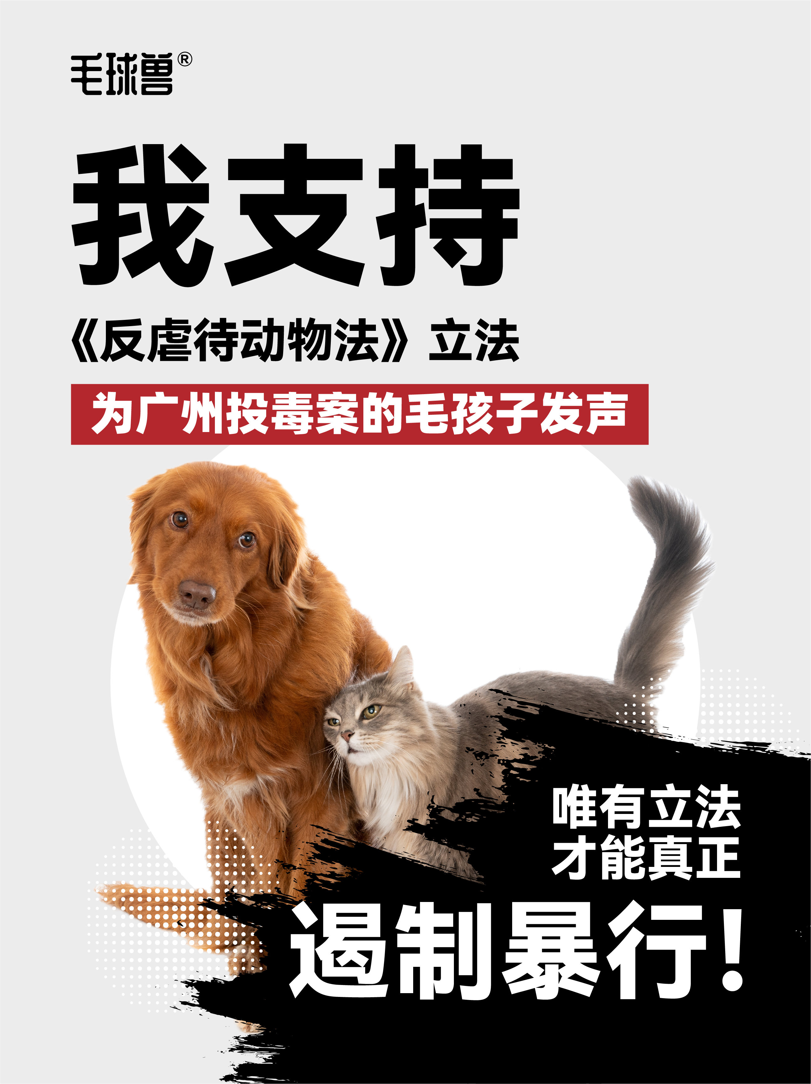 探索狗狗与人类之间的奇妙比例——狗狗的某些东西竟比老公的还要大？-第2张图片