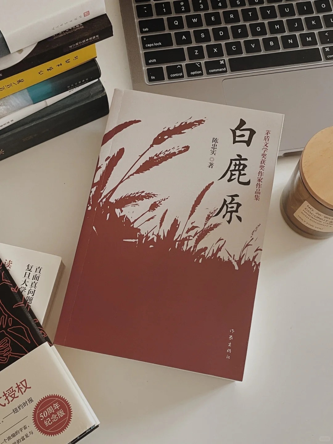 穿越时空的家族传奇——与子乱系列小说