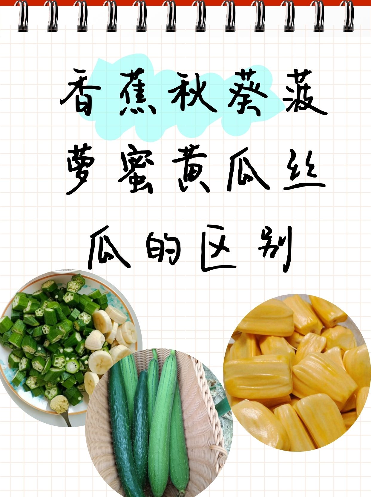 香蕉菠萝蜜视频在线入口探索香蕉菠萝蜜视频在线观看的便捷途径