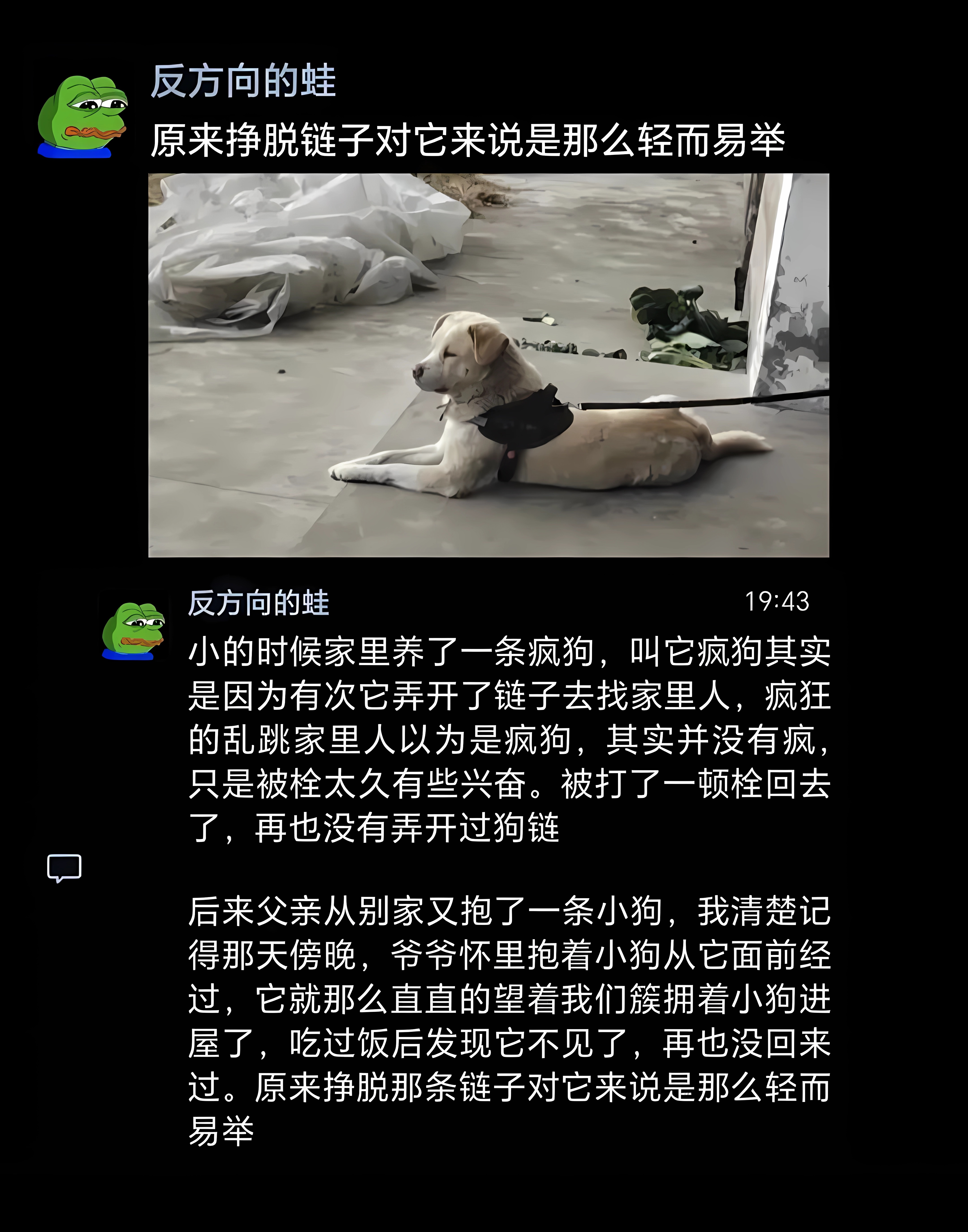 狗的dna和人的dna差多少视频讲解狗的DNA与人的DNA差异，一项深入探究的视频解读-第2张图片