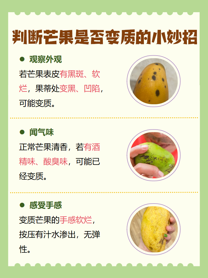 一区一区，探索芒果的在线世界——3区4区产品详解