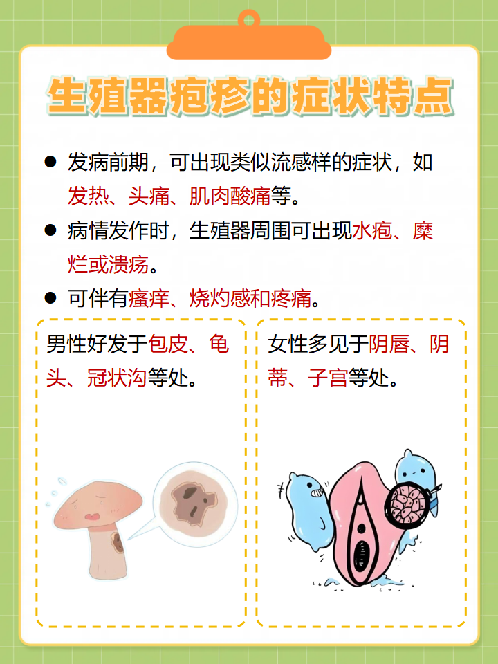 性健康知识分享，关于生殖器官的生理结构与功能