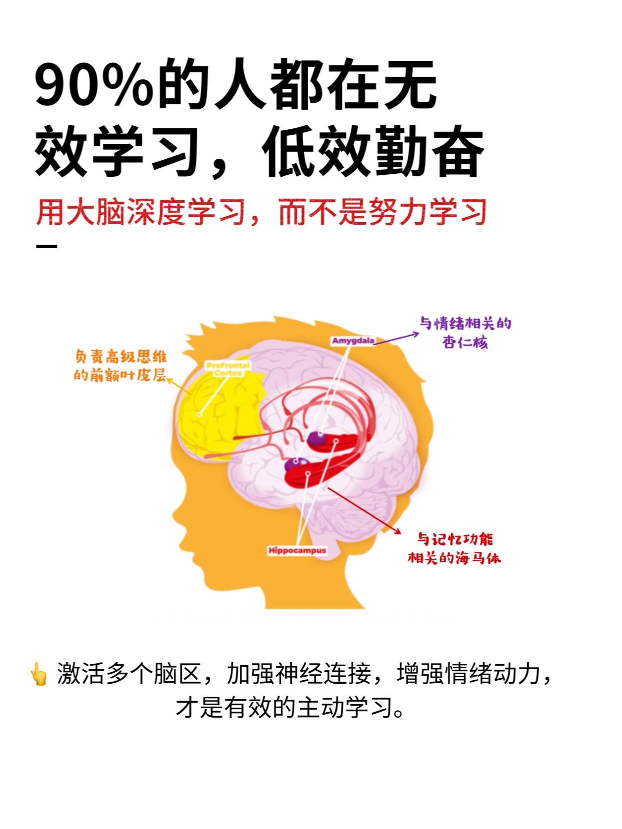 坐在学霸棍子上写作业了吗图片学霸的棍子与我的作业之旅-第1张图片