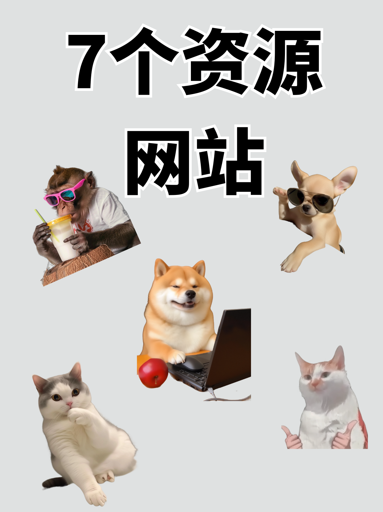 推荐个网站好吗为您推荐一个优质网站，值得一探的在线宝藏-第2张图片
