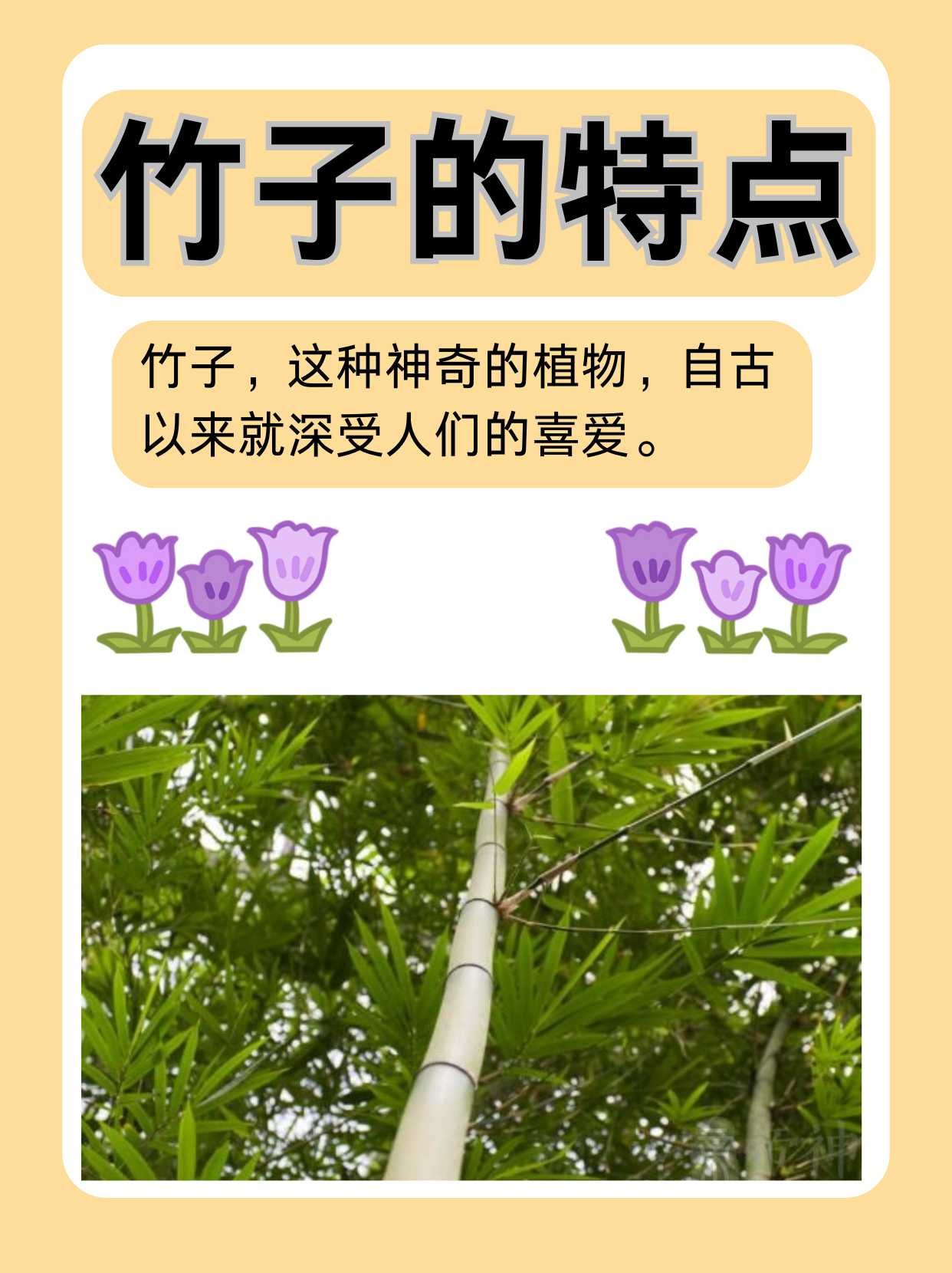 久久国内精品自在自线久久国内精品自在自线——探索中国文化的独特魅力
