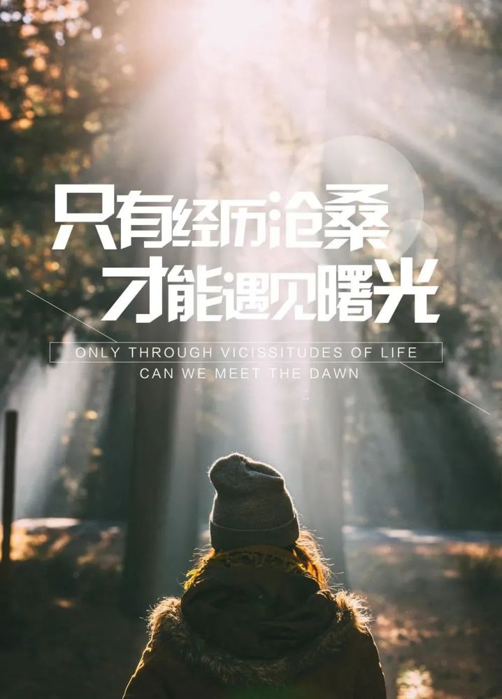 正能量网站免费进入无需下载正能量网站，免费进入，无需下载，让生活充满阳光-第2张图片