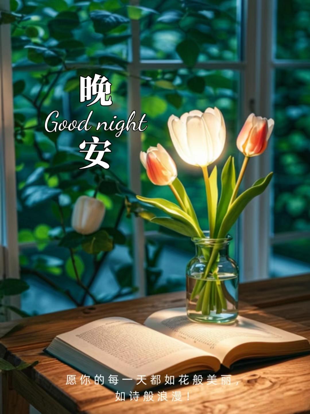 网站正能量，夜晚的在线视频之旅