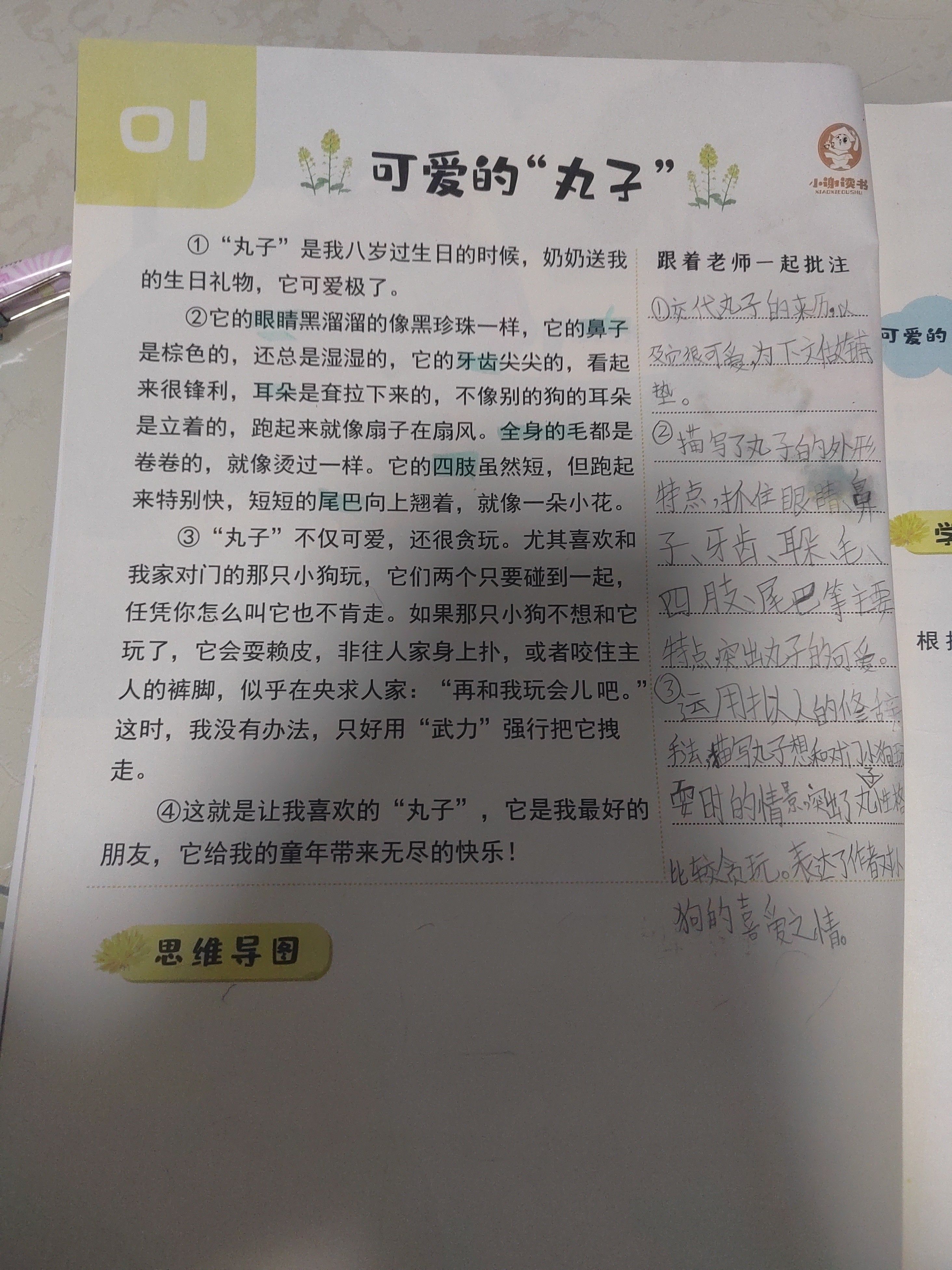 坐在硬邦邦的上面写作业作文硬邦邦之上的坚持——我的作业之旅