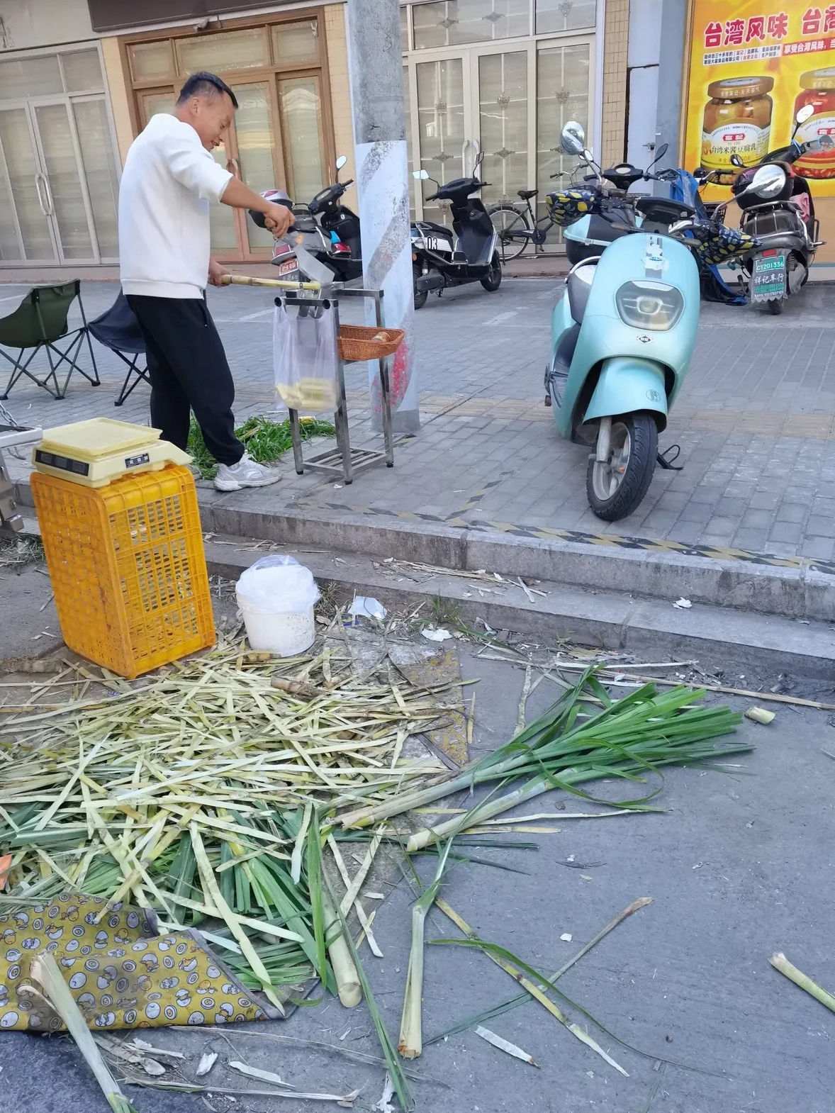 甘蔗地里的翁公有几个孩子翁公与甘蔗地里的故事