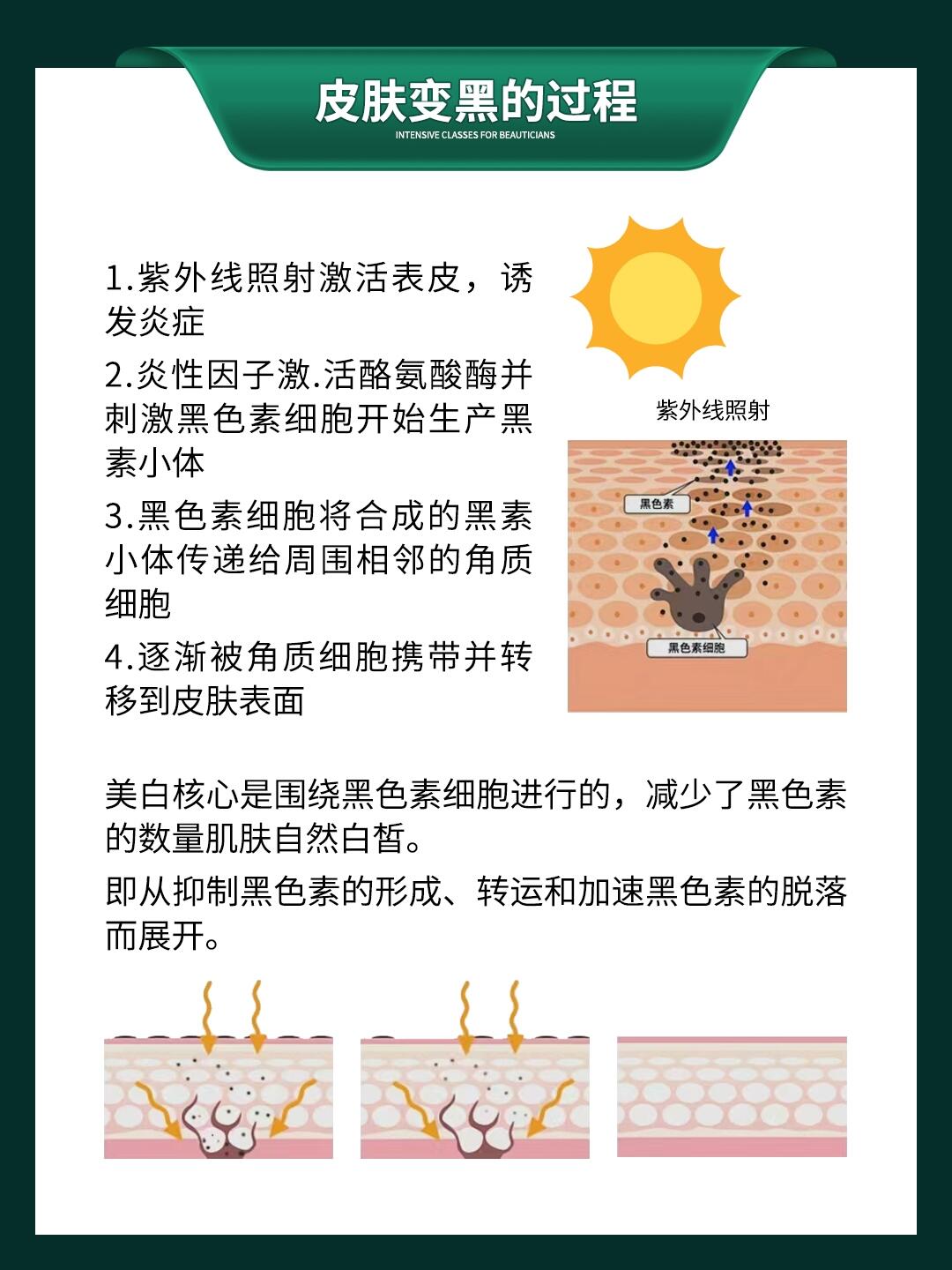 自己弄多了会变黑可以变白吗女生如何平衡肌肤的黑白之美，女生如何从变黑到变白-第2张图片