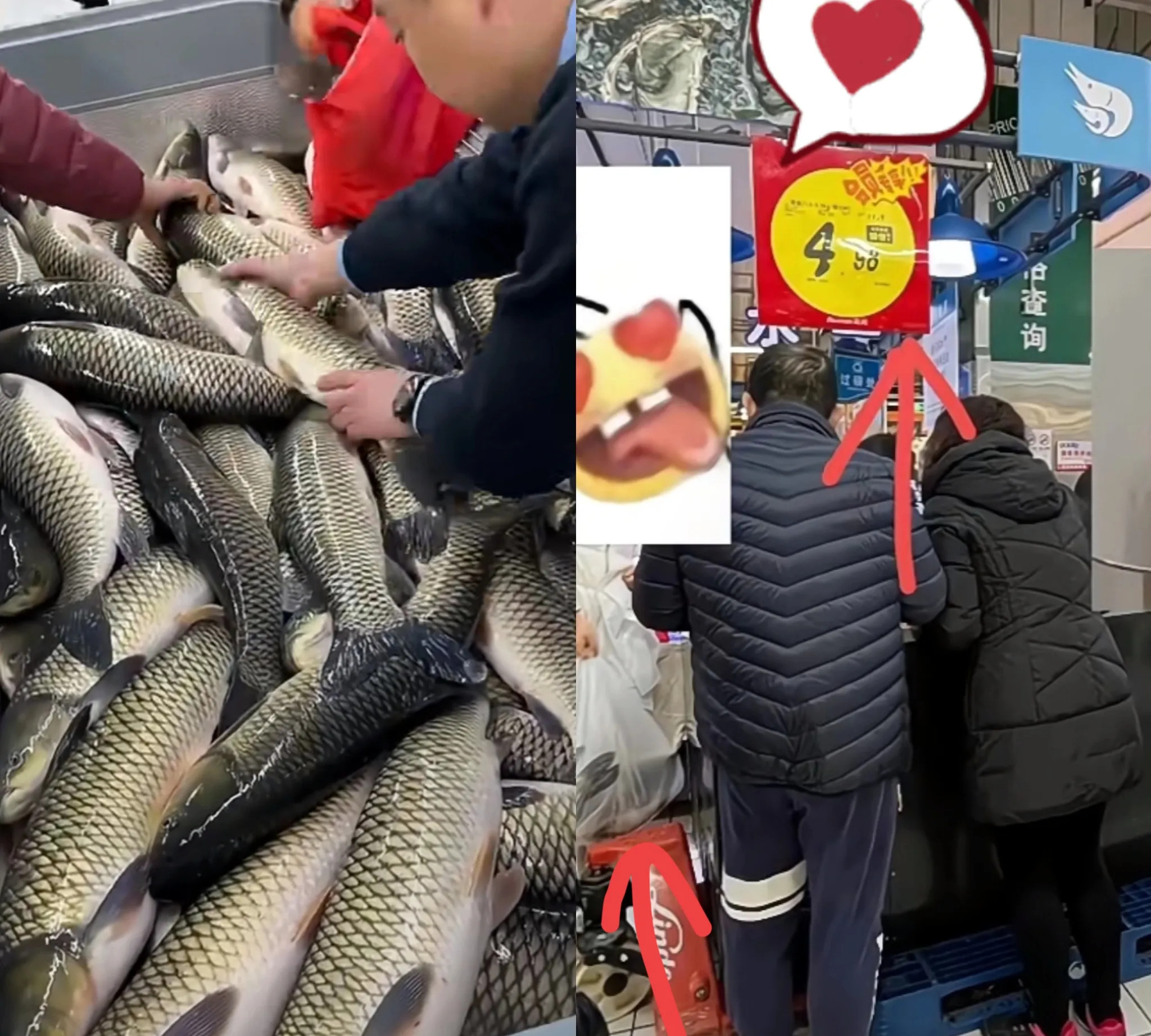 小森生活买鱼小森生活买鱼记-第1张图片