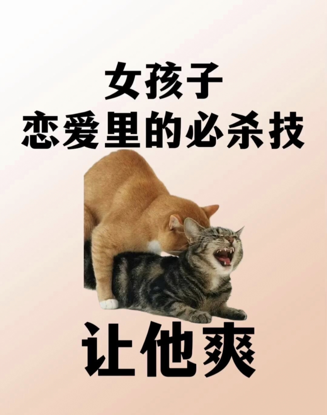 房奴试爱，现代都市人的生活压力与情感挑战-第2张图片
