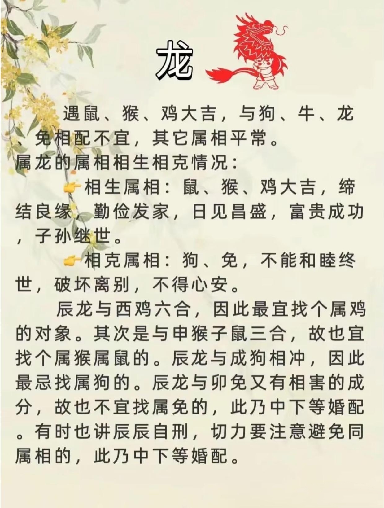 狗、人、马，如何和谐共配