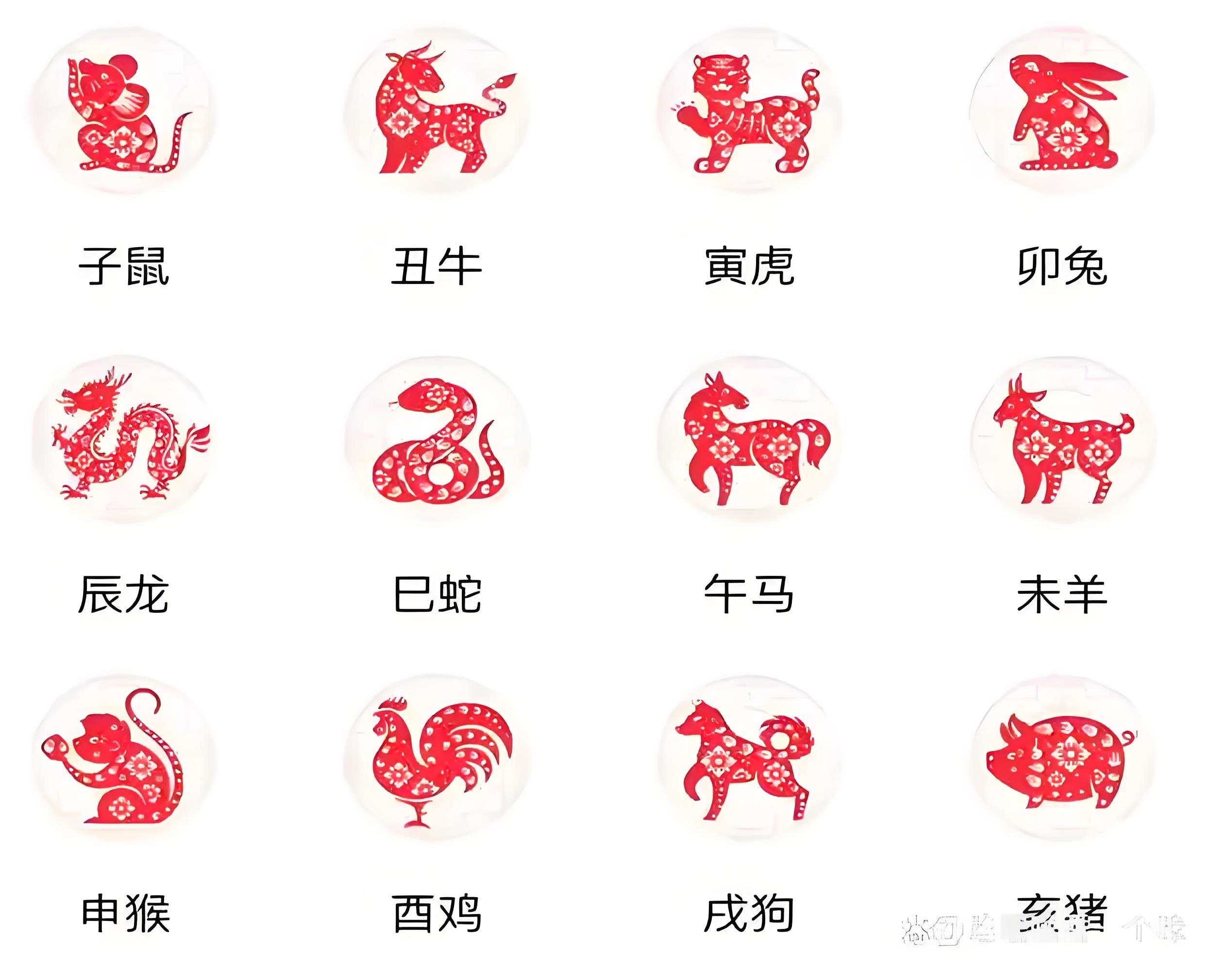 俄罗斯的牛、猪与狗，独特的农畜文化与故事-第3张图片