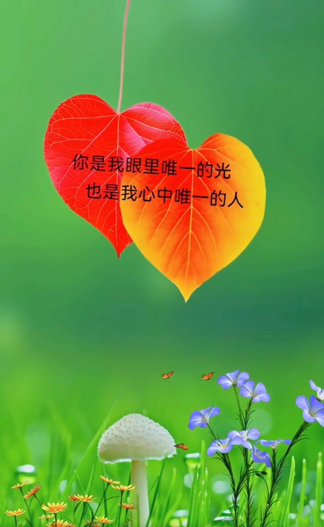 网站你懂我意思正能量晚上最新章节网站正能量，你懂我意思，点亮夜晚的温暖之光