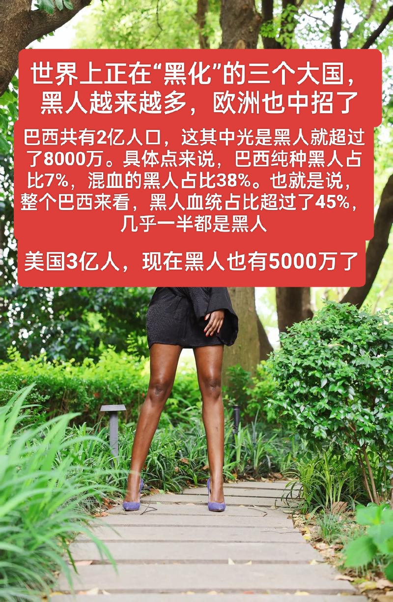 非洲文化与性观念的误解——以非洲黑人牲交大战肥女为话题的探讨-第3张图片