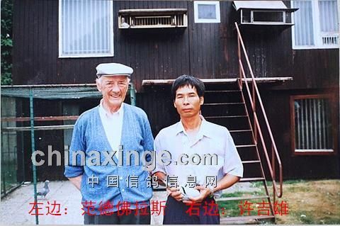 天南铜都赛鸽中心青年棚2021，青春的翅膀，翱翔于赛鸽的天空-第2张图片