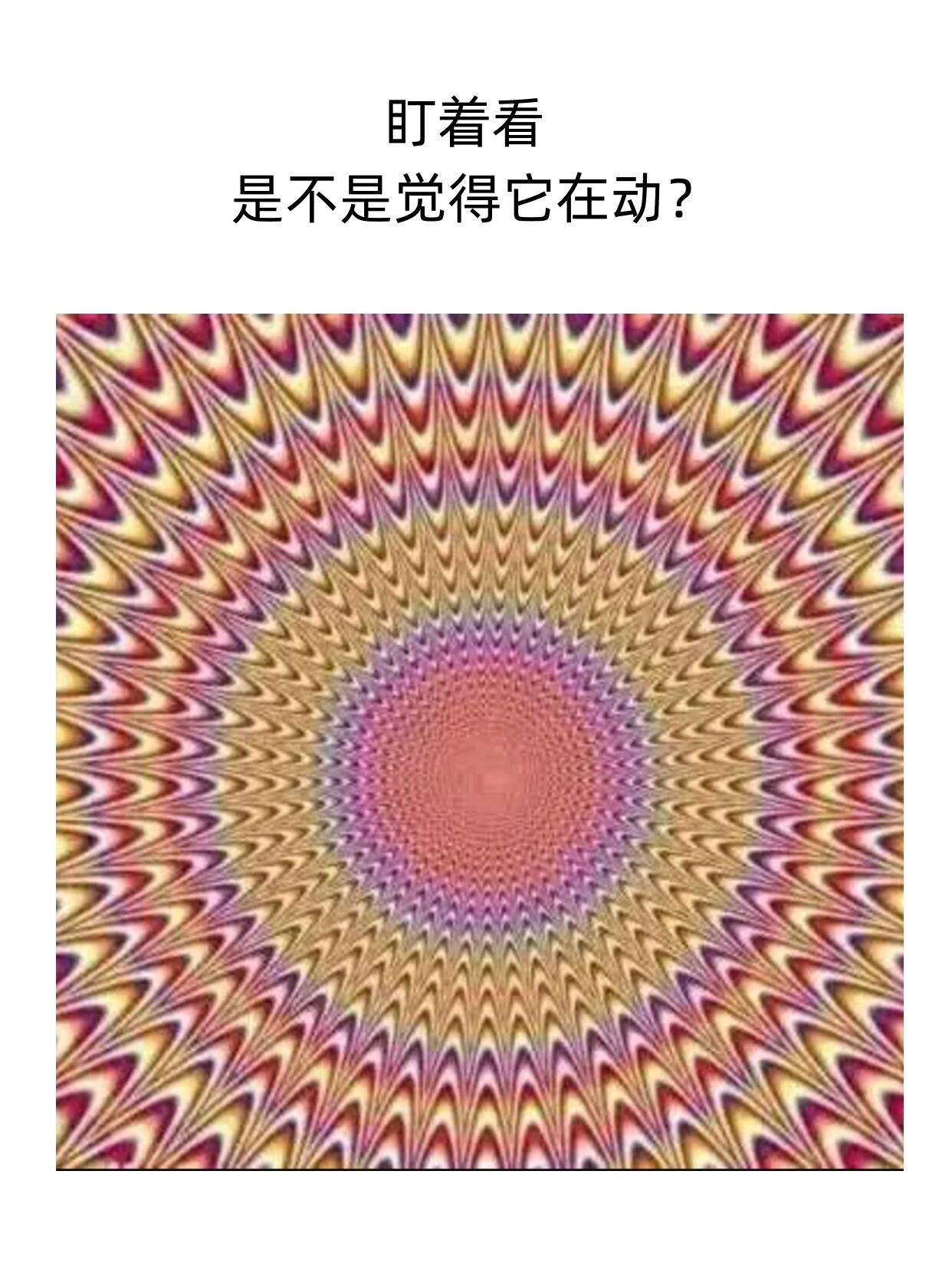 疯狂猜图疯狂猜图，一场视觉与智慧的较量