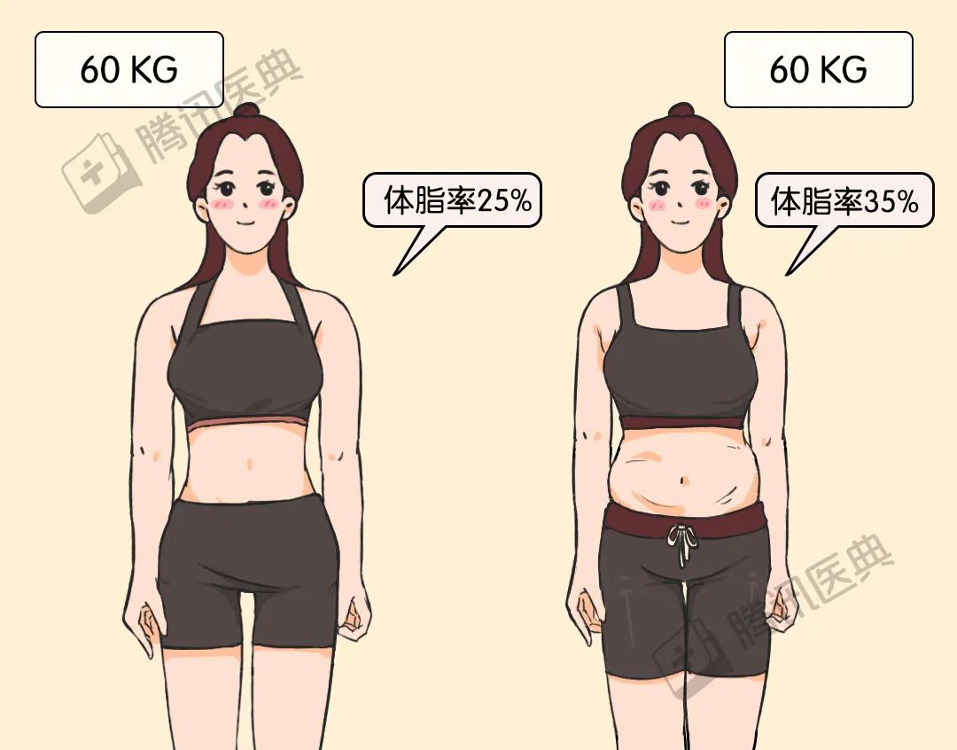 瘦子与胖子b谁大瘦子与胖子，身体形态的差异与影响