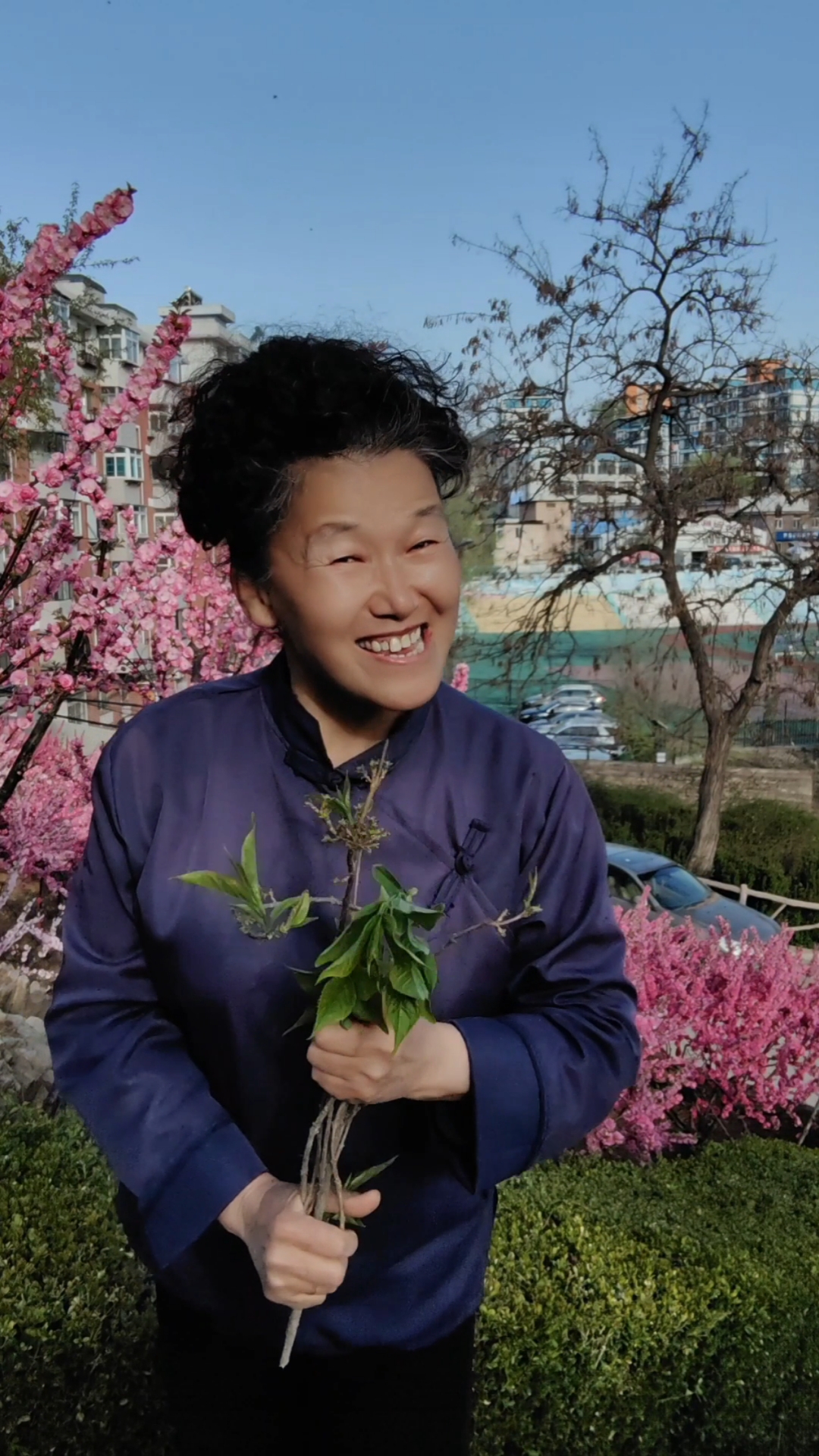 老太太吧的温暖与魅力