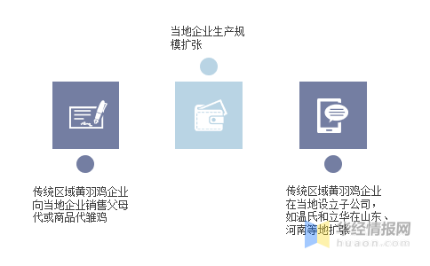 国产黄色在线网站，现状、影响与思考