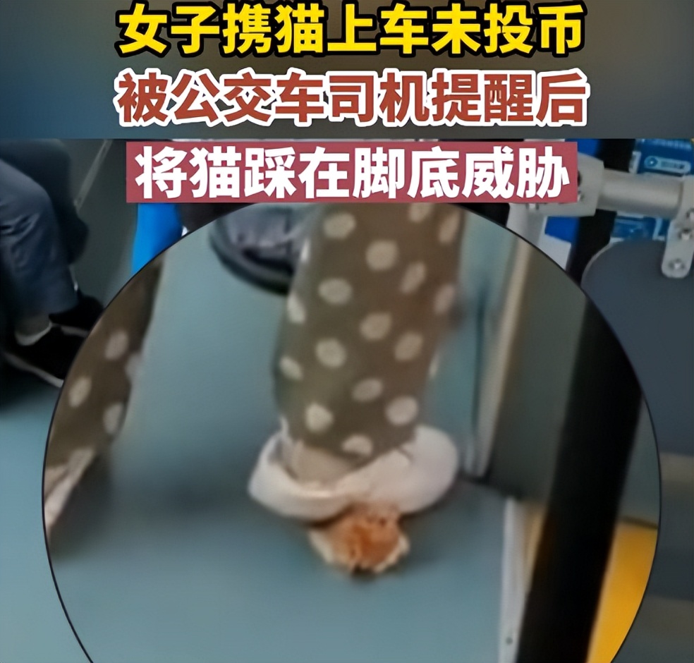 美女踩人美女踩人现象的背后思考
