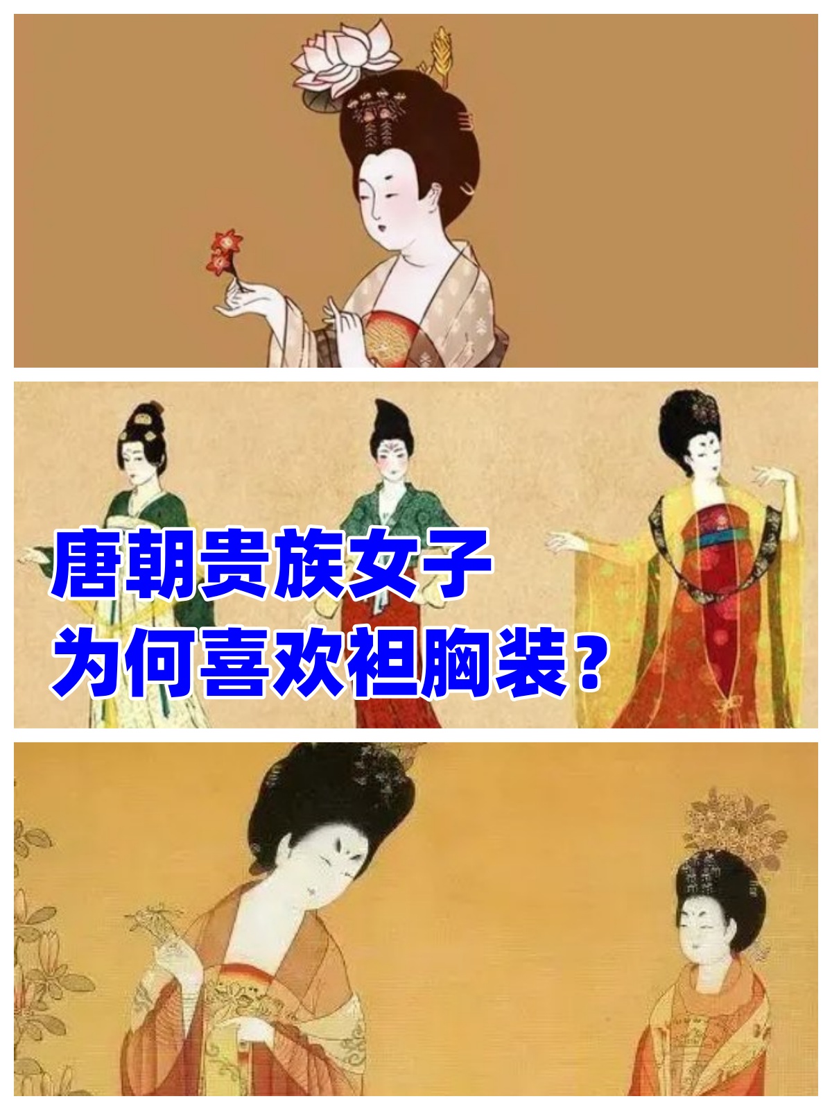 操大胸女探索操大胸女背后的文化与审美-第2张图片