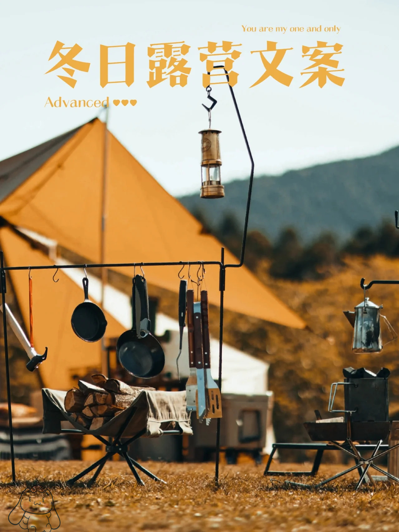 伊人最新网址——探索未知的美丽世界