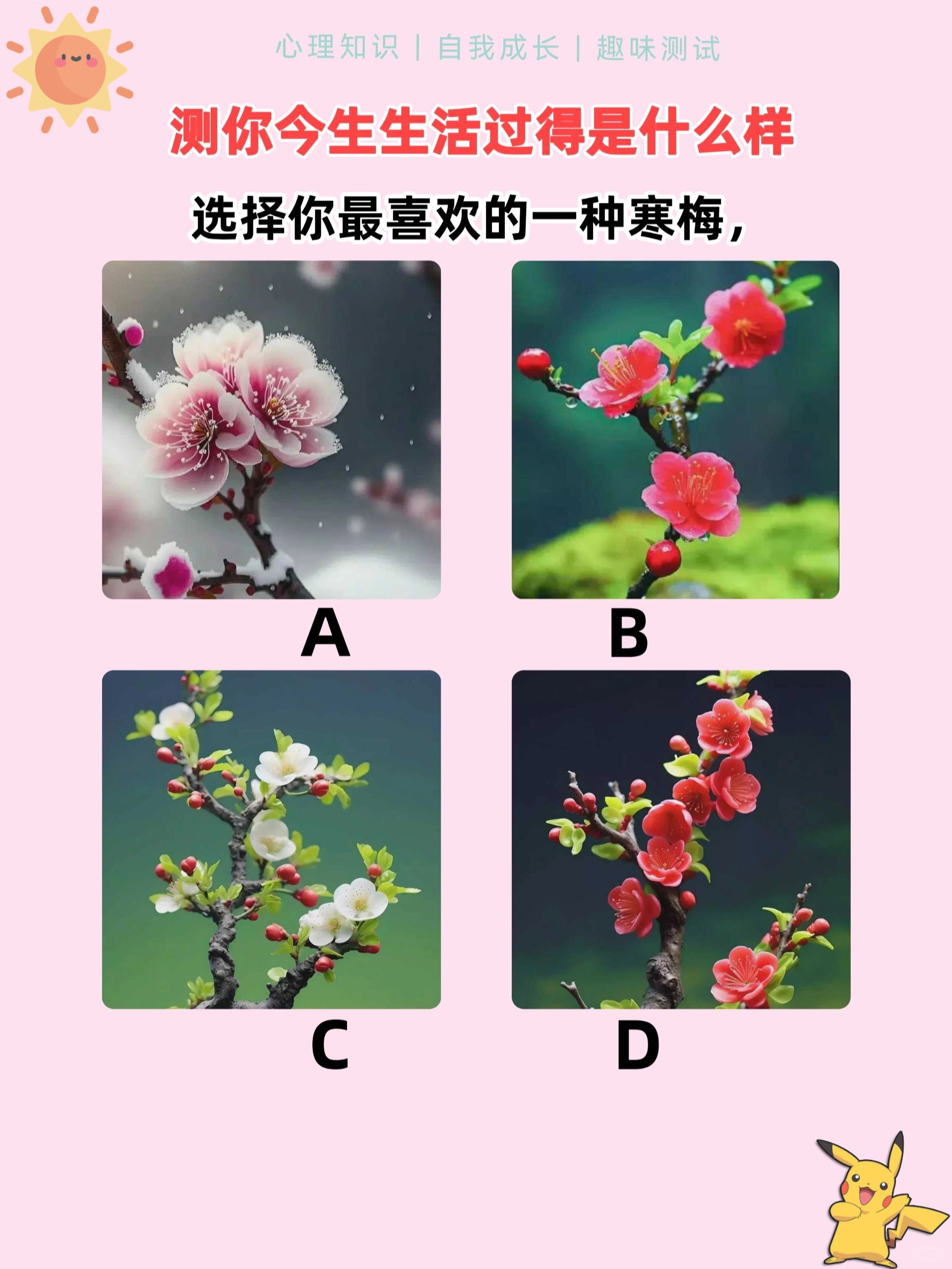 b有几个类型图片B的多样样式图形照片探索
