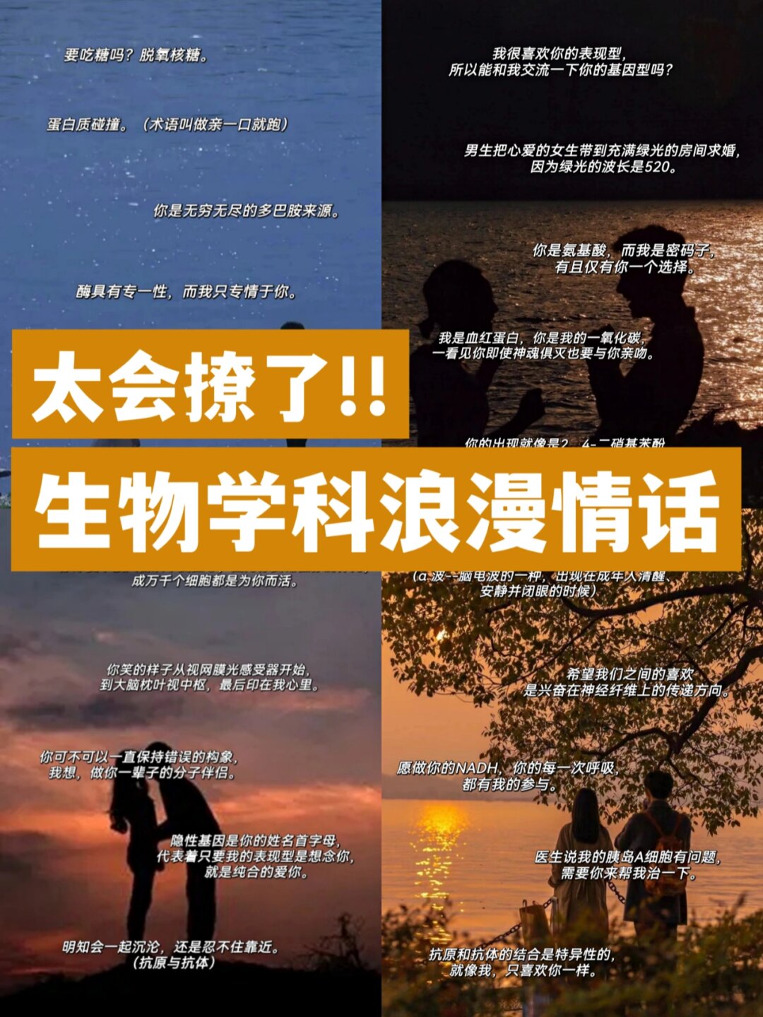 片多多视频免费观看电视剧软件探索那个对那个的奥秘，免费APP软件指南