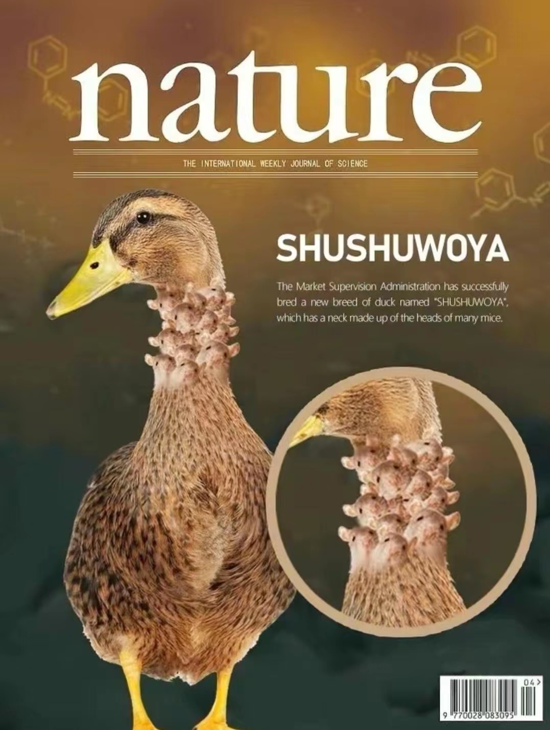大蘑菇进入子宫的10个原因电影大蘑菇进入子宫的罕见事件，探究其10个原因-第2张图片