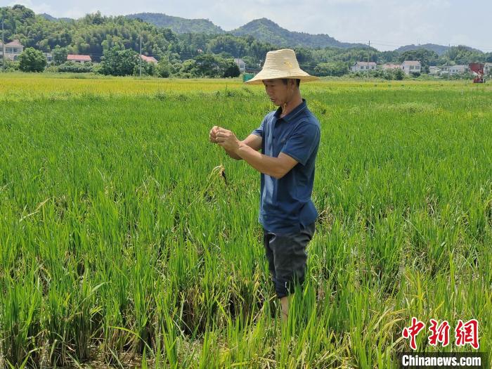 农民的美性感农民的魅力与风采-第2张图片