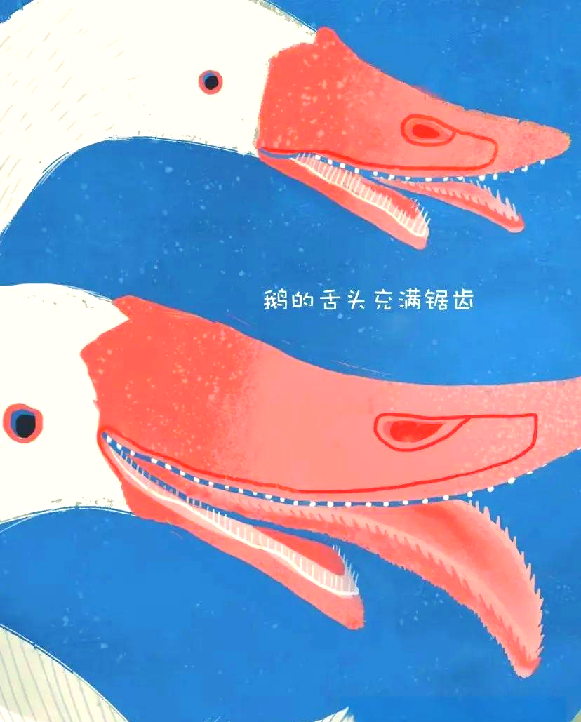 舌头一路向下探是什么病舌尖之旅，舌头的奇妙探索-第2张图片
