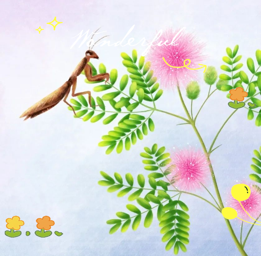 含羞草实验室研究所——探索自然奥秘的门户-第2张图片