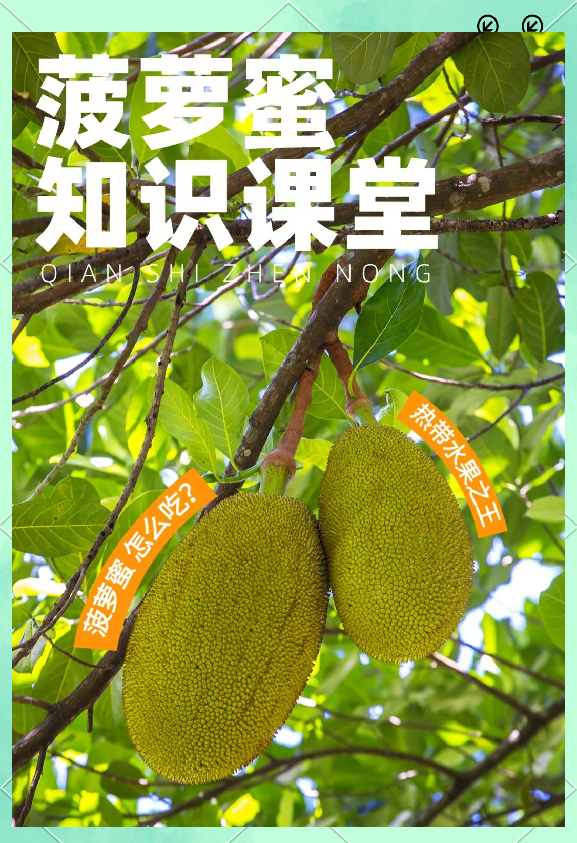 菠萝蜜app网站，探索未知的数字世界之旅-第3张图片