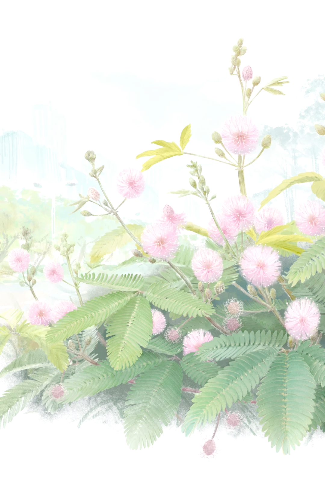 含羞草v4.0.7含羞草最新版本，探索自然之谜的最新科技体验-第2张图片
