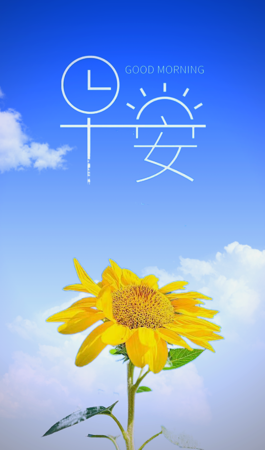 向日葵无限免费下载网站探索向日葵APP，无限下载网址进入的便捷与乐趣-第2张图片