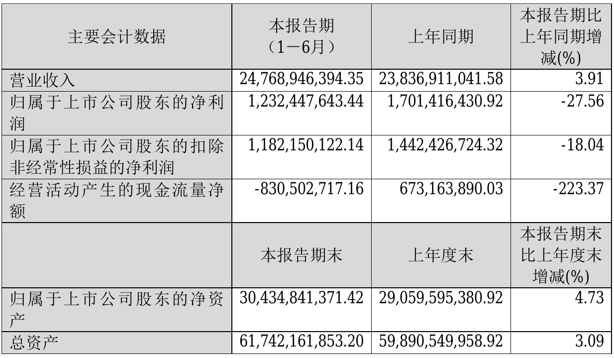 乱码1234区2021，解码与探索的旅程