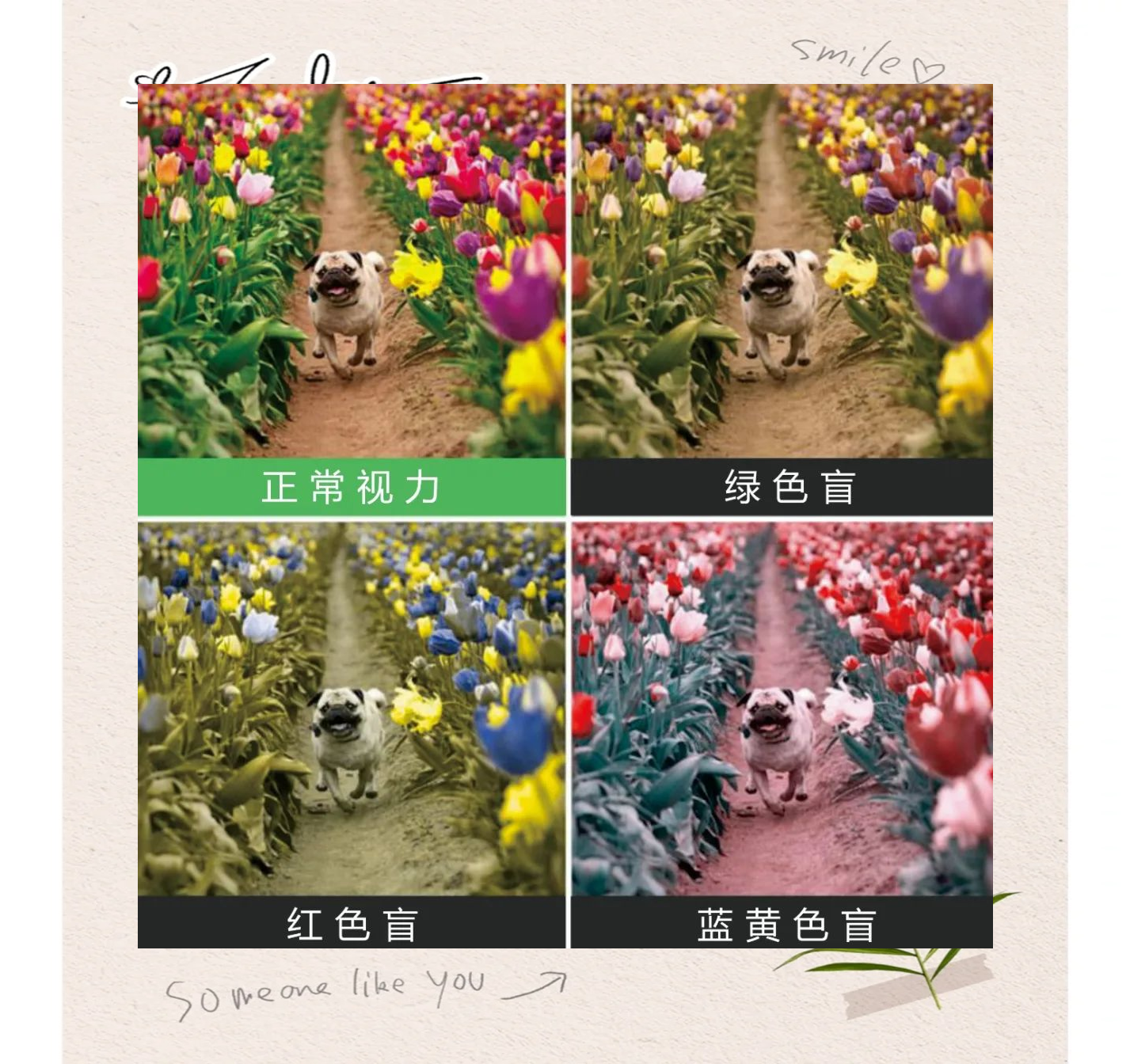 探索色多多APP黑科技，下载与安装指南-第2张图片