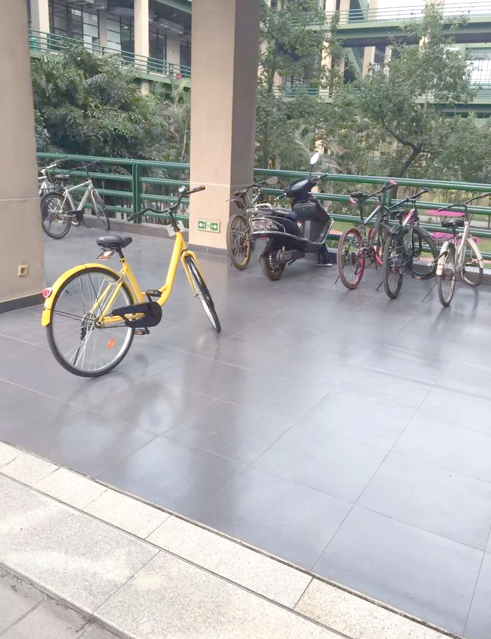 公共小黄车可以搭人吗大尺寸的小黄车与城市公交车的共舞-第2张图片