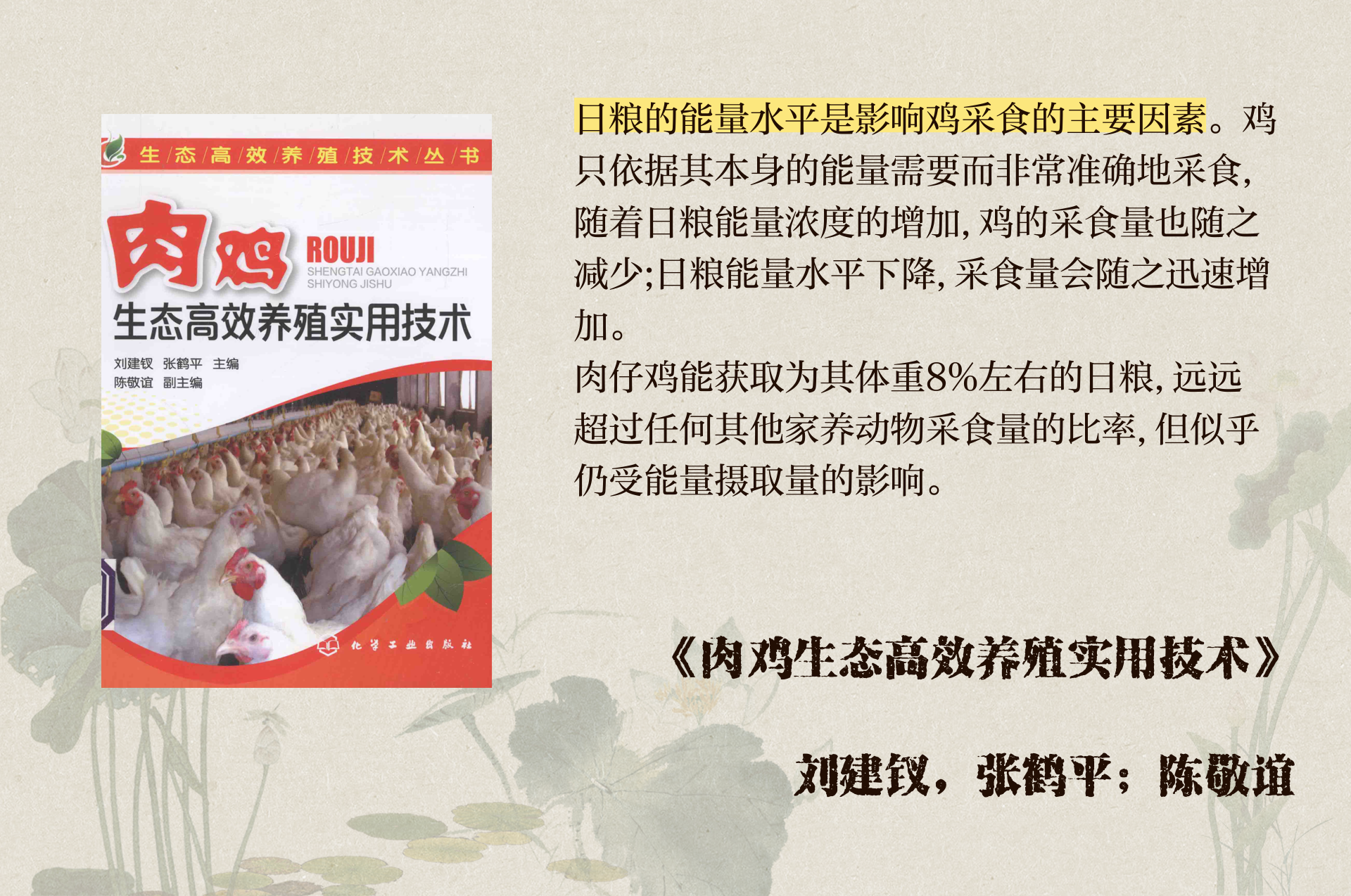 入禽太深深入探讨入禽太深的内涵与影响-第2张图片